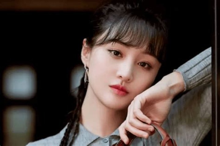 Zheng Shuang Biography, Age, Height, Husband, Net Worth, Family
